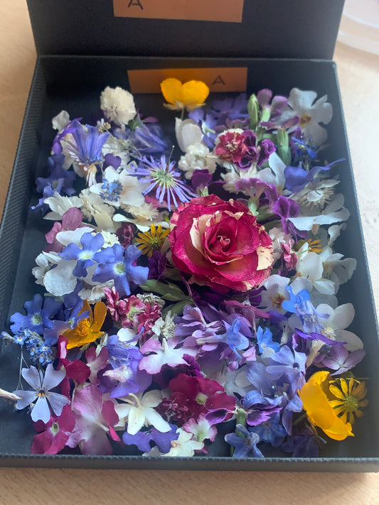 Tiny dried flowers - Real Dried Flowers