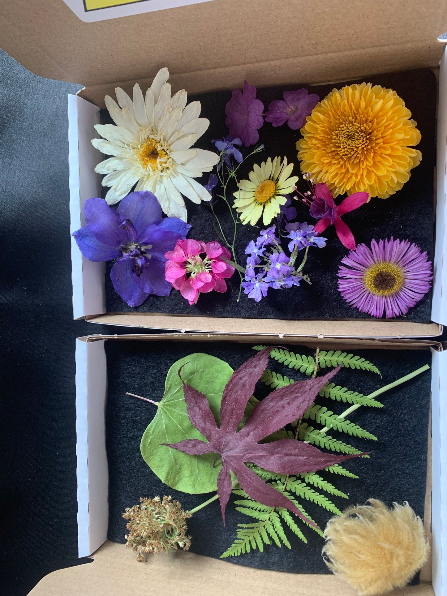 Dried Flowers and Leaves