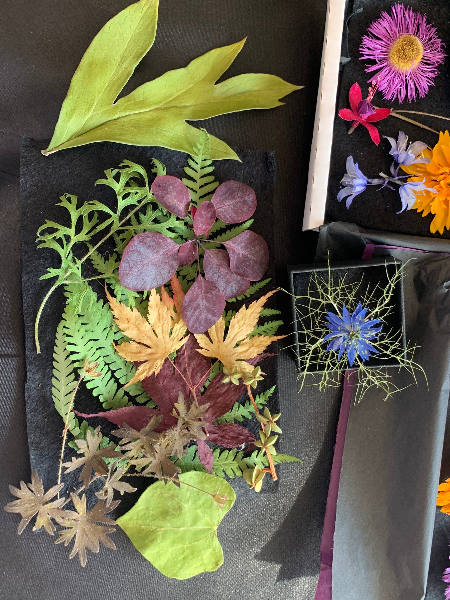 Dried Flowers and Leaves