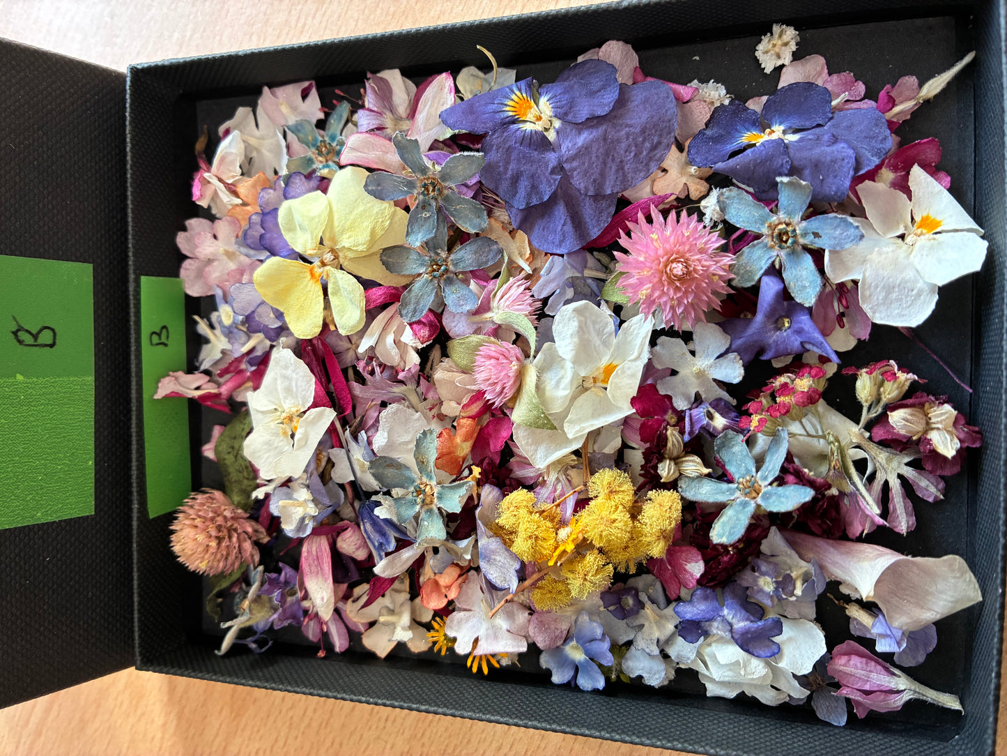 Tiny dried flowers - Real Dried Flowers