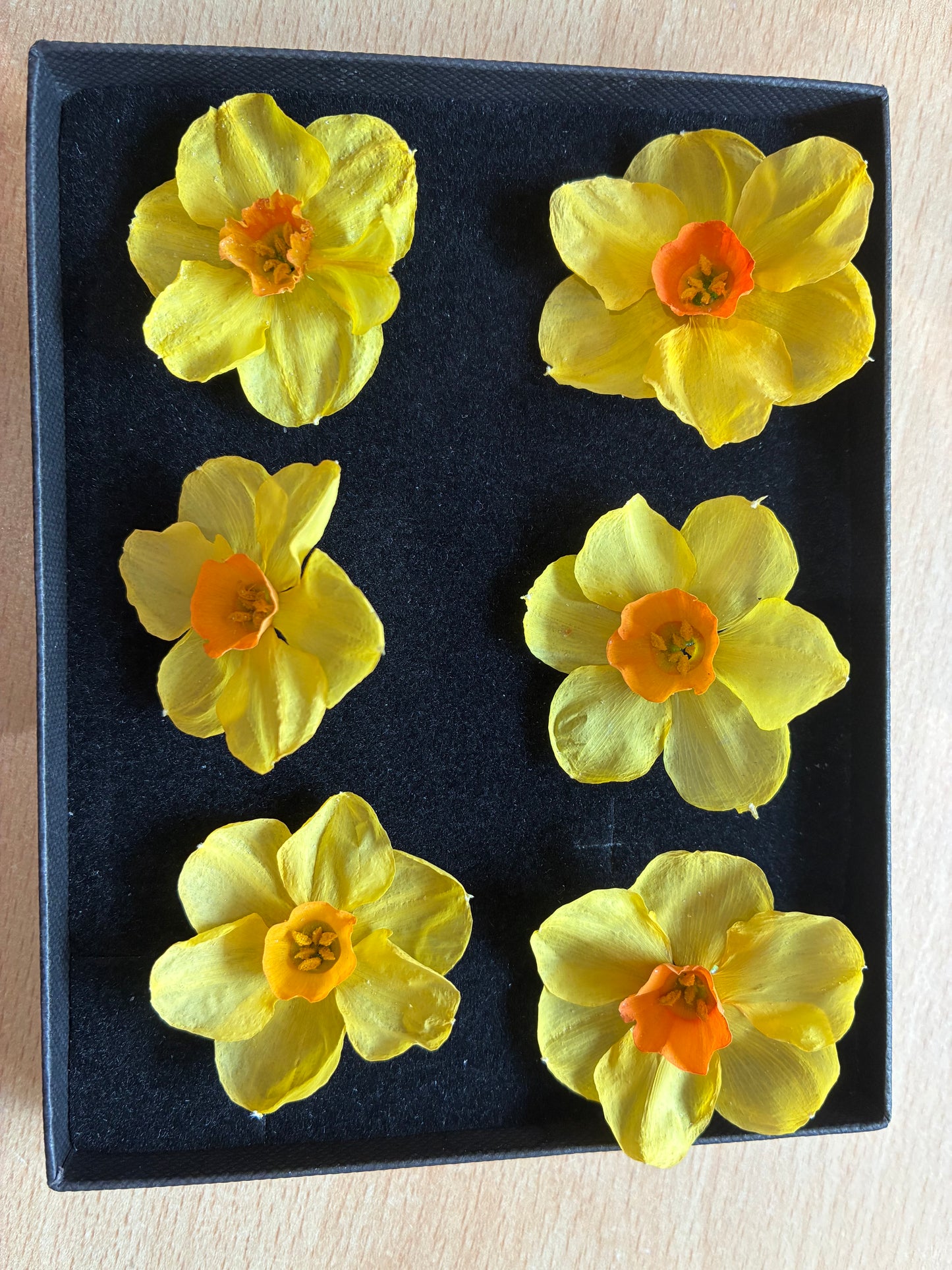 Dried Daffodils - 6 (baby) Orange Trumpet