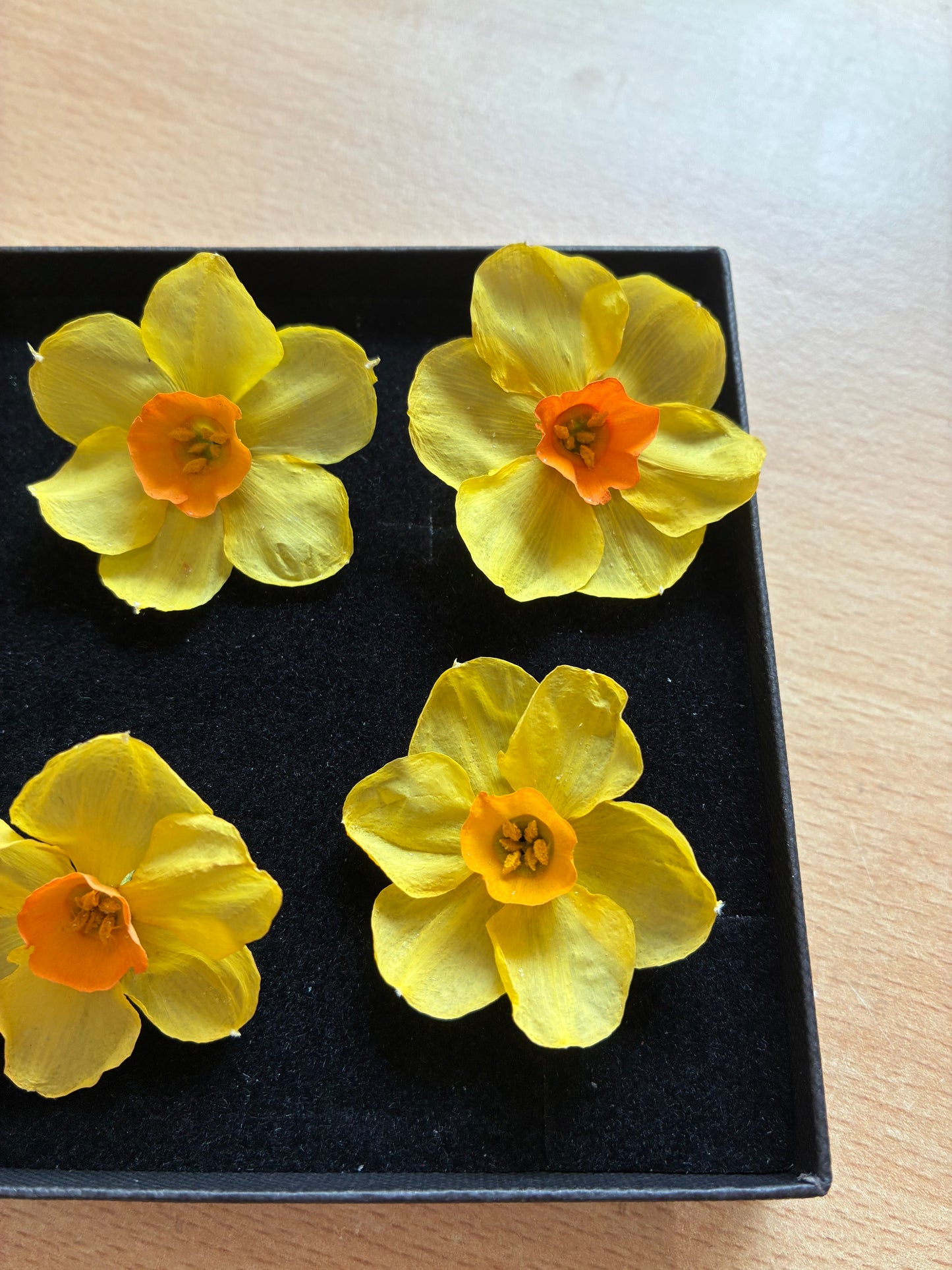 Dried Daffodils - 6 (baby) Orange Trumpet