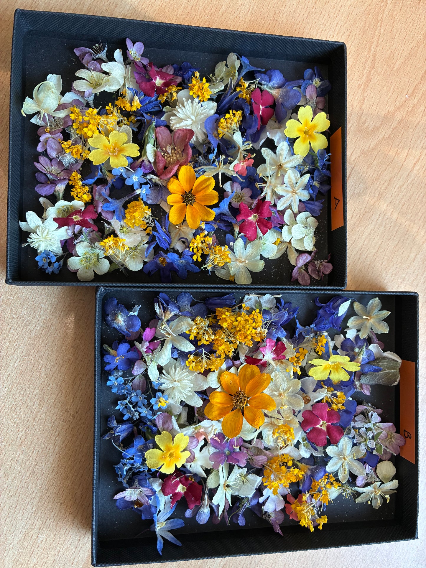 Tiny Real Dried Flowers for Resin Art, Crafts & Botanical Art