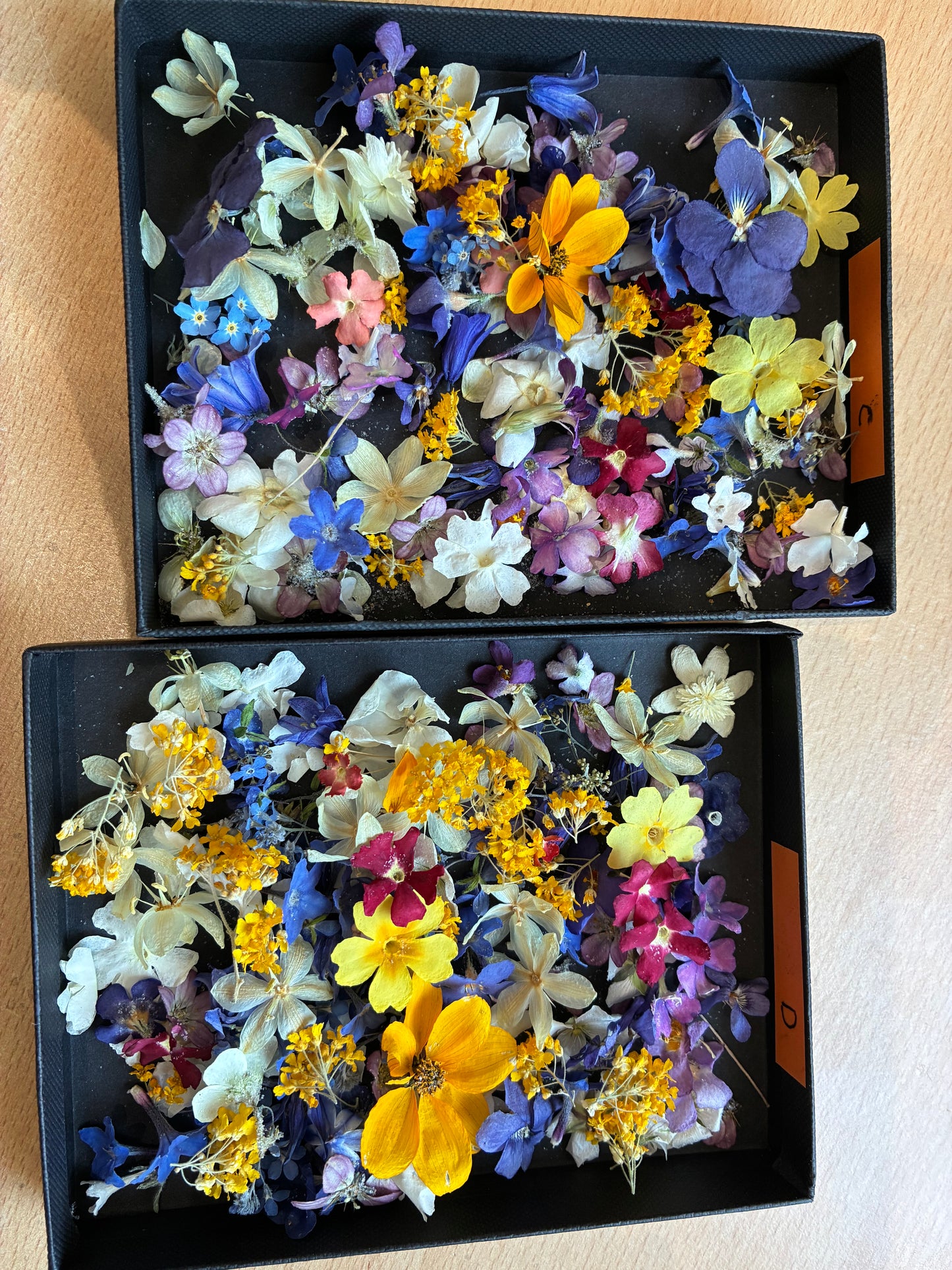 Tiny Real Dried Flowers for Resin Art, Crafts & Botanical Art