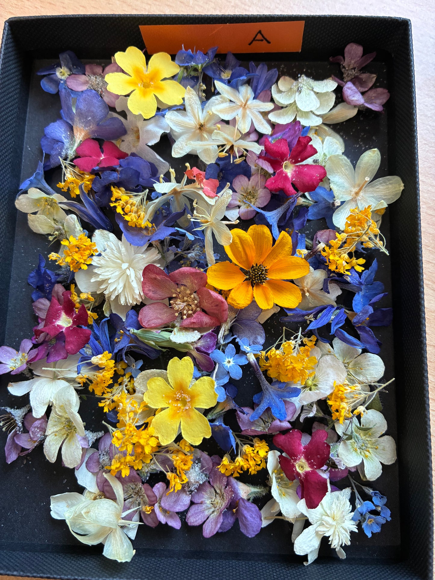 Tiny Real Dried Flowers for Resin Art, Crafts & Botanical Art