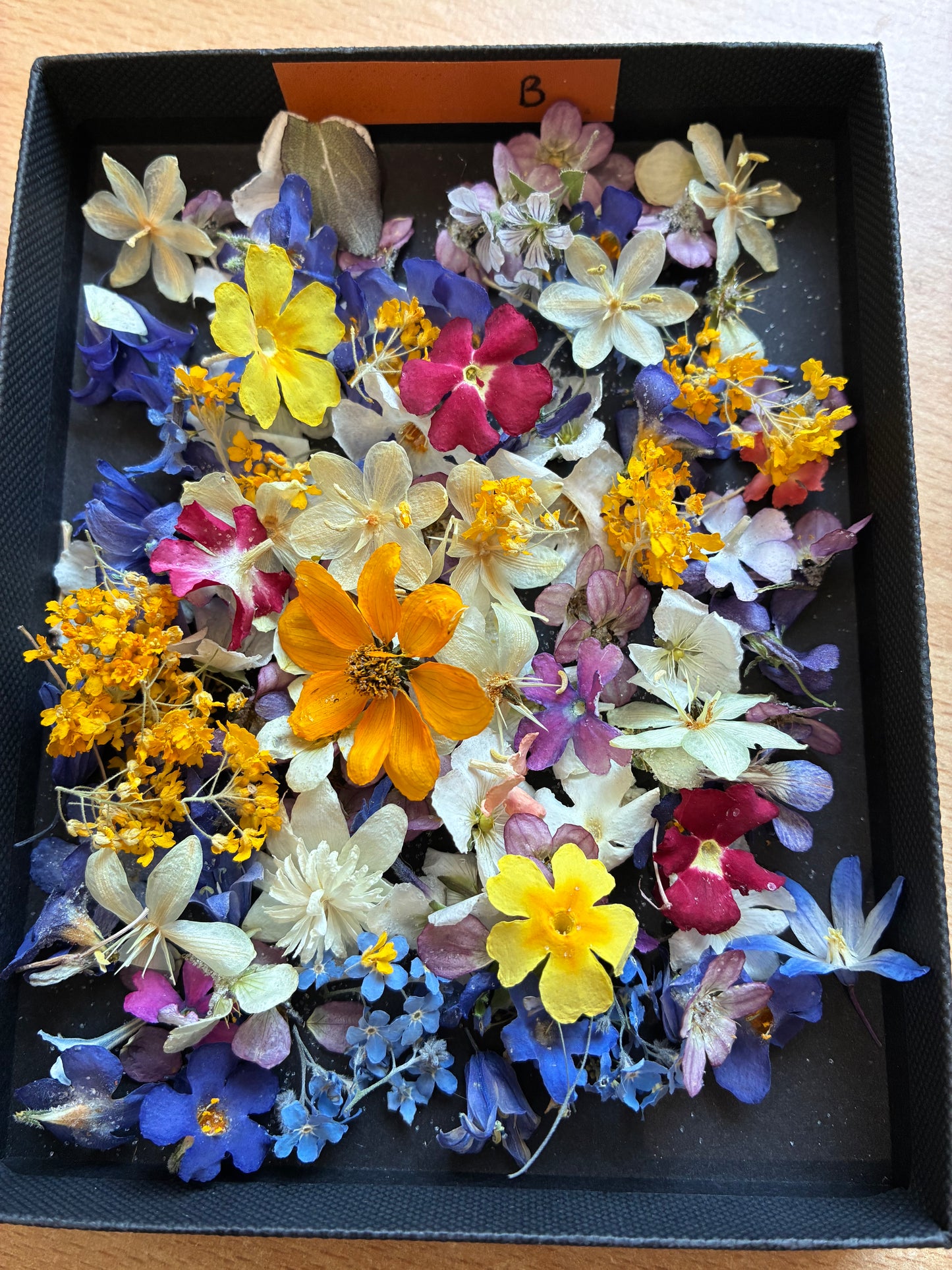 Tiny Real Dried Flowers for Resin Art, Crafts & Botanical Art