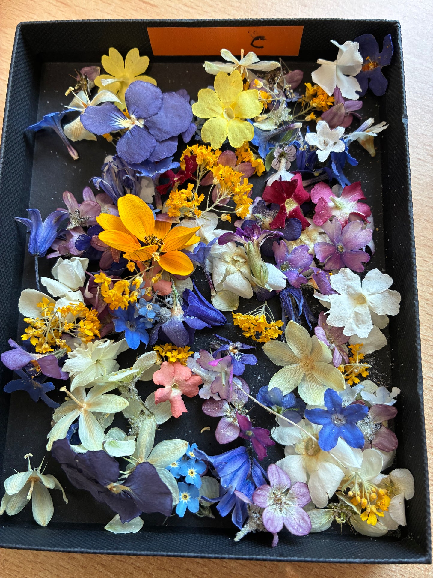 Tiny Real Dried Flowers for Resin Art, Crafts & Botanical Art