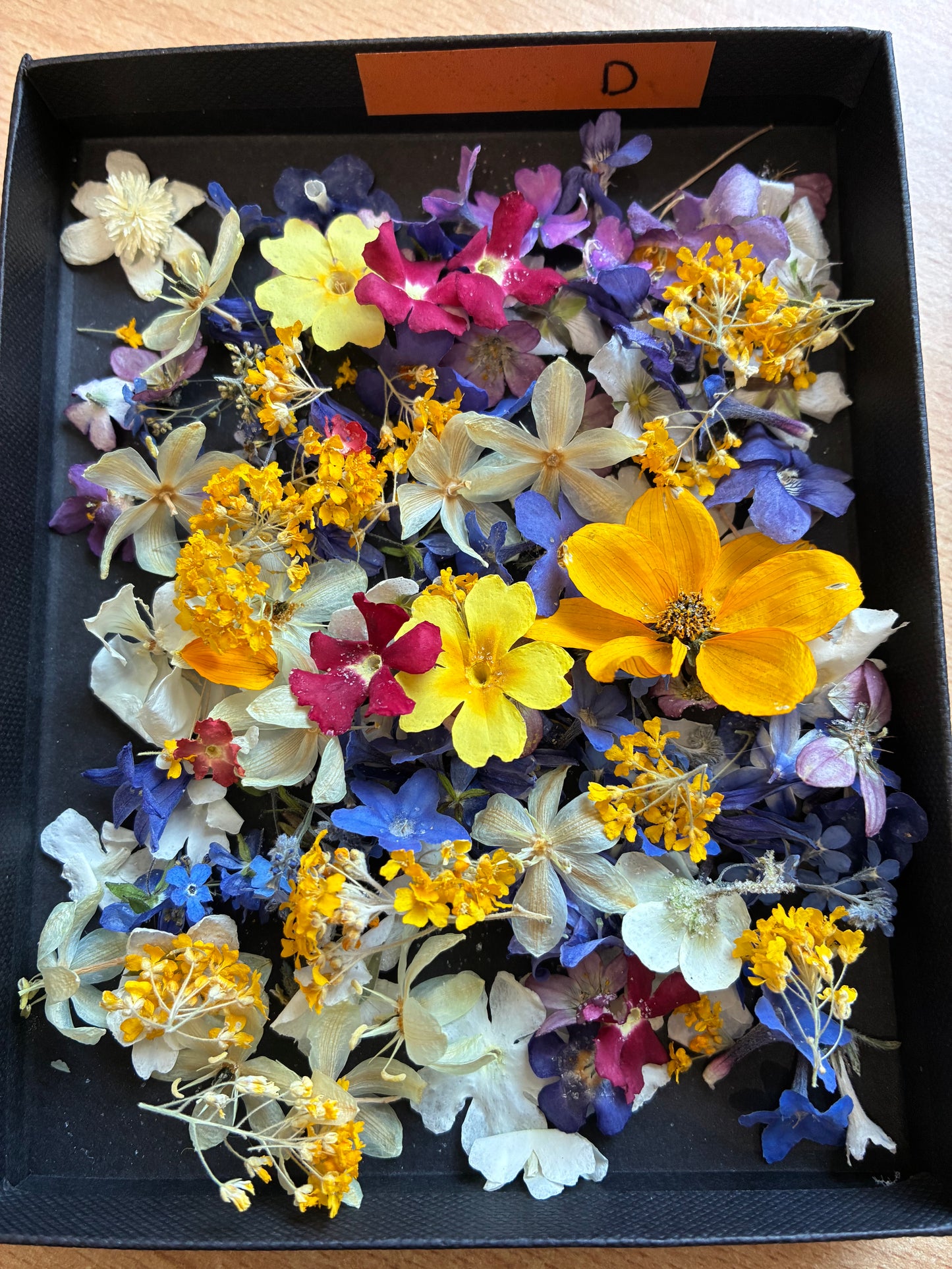Tiny Real Dried Flowers for Resin Art, Crafts & Botanical Art