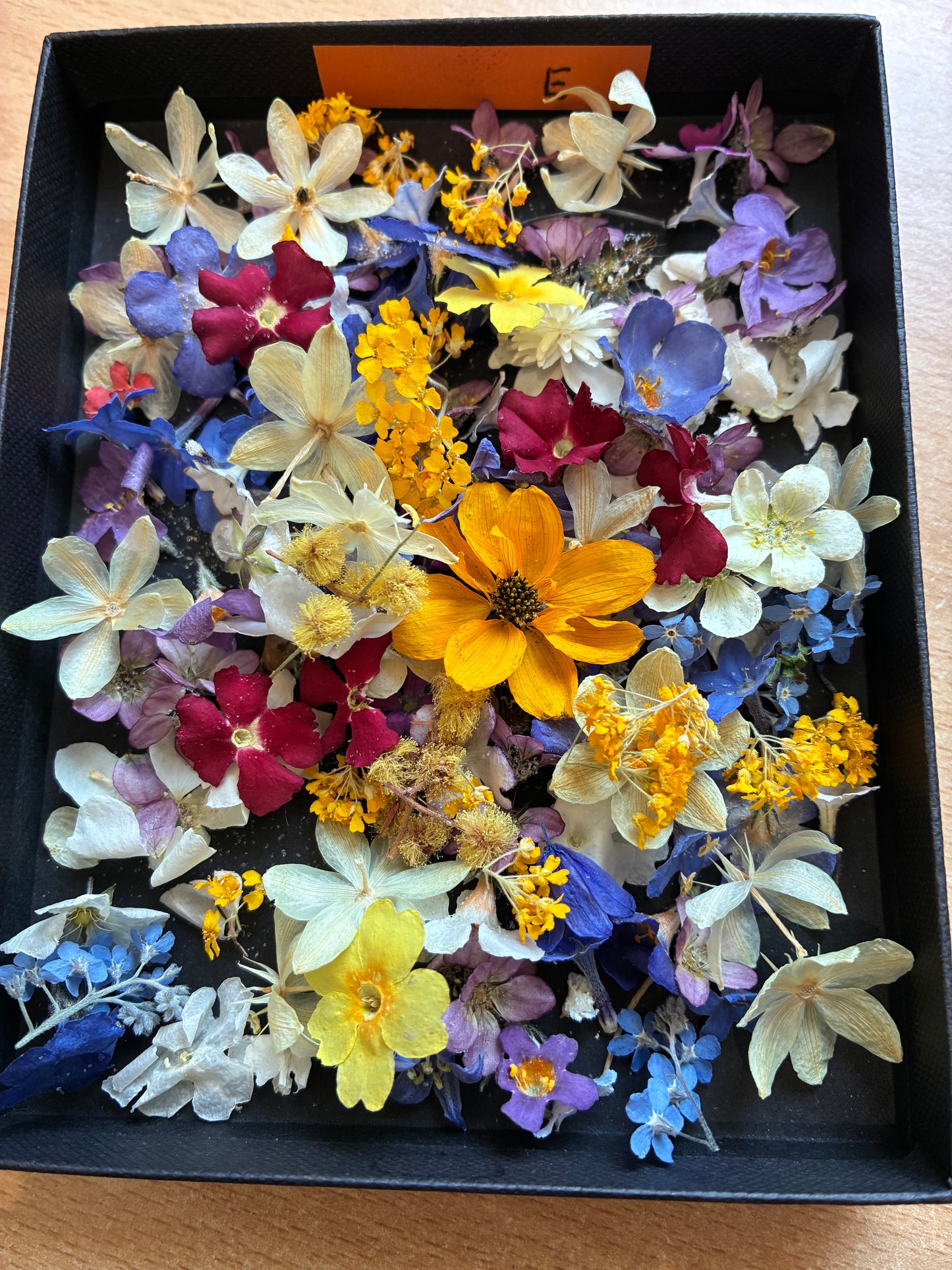 Tiny Real Dried Flowers for Resin Art, Crafts & Botanical Art