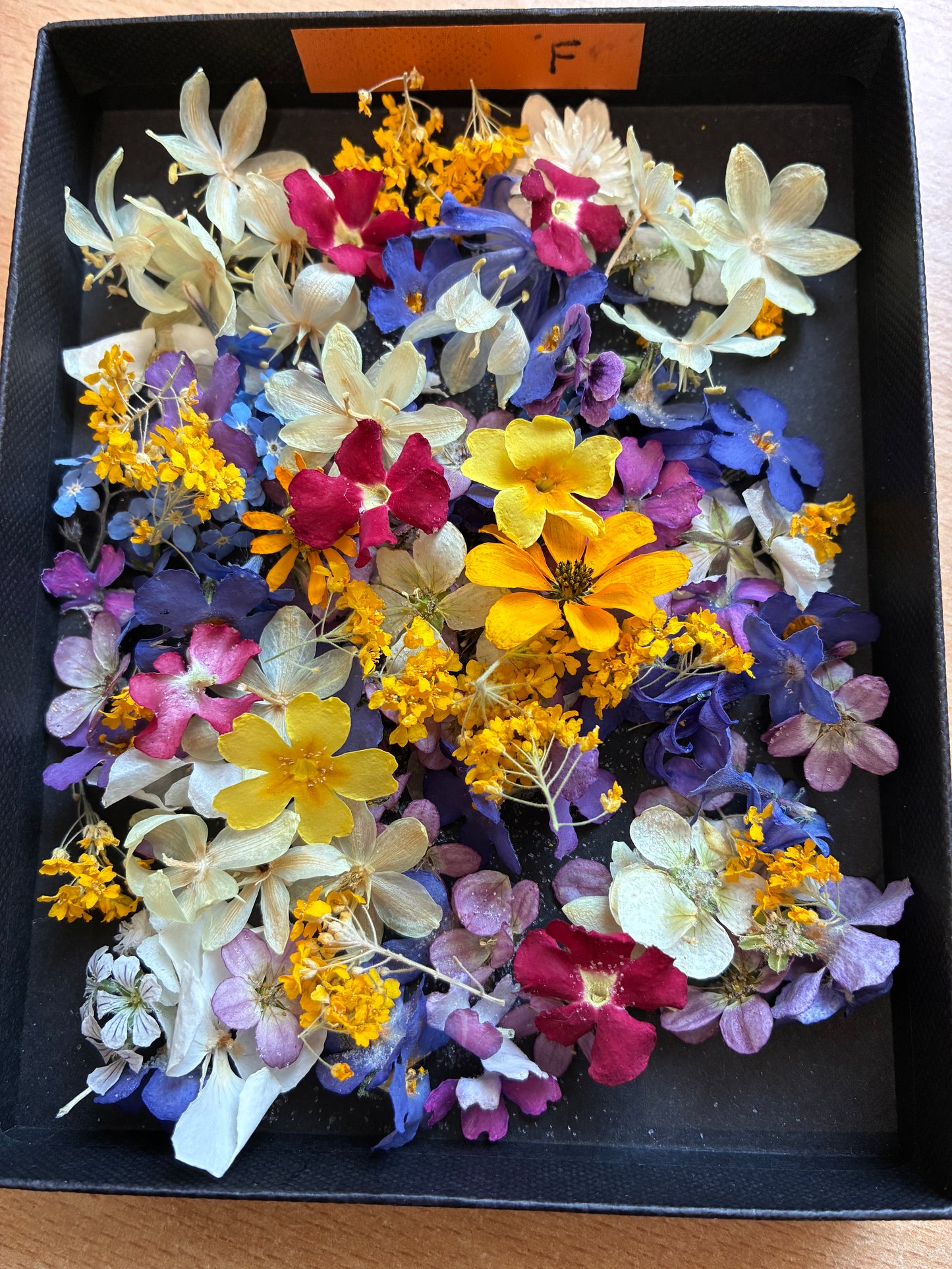 Tiny Real Dried Flowers for Resin Art, Crafts & Botanical Art
