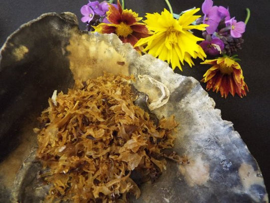 Irish Moss - 10g