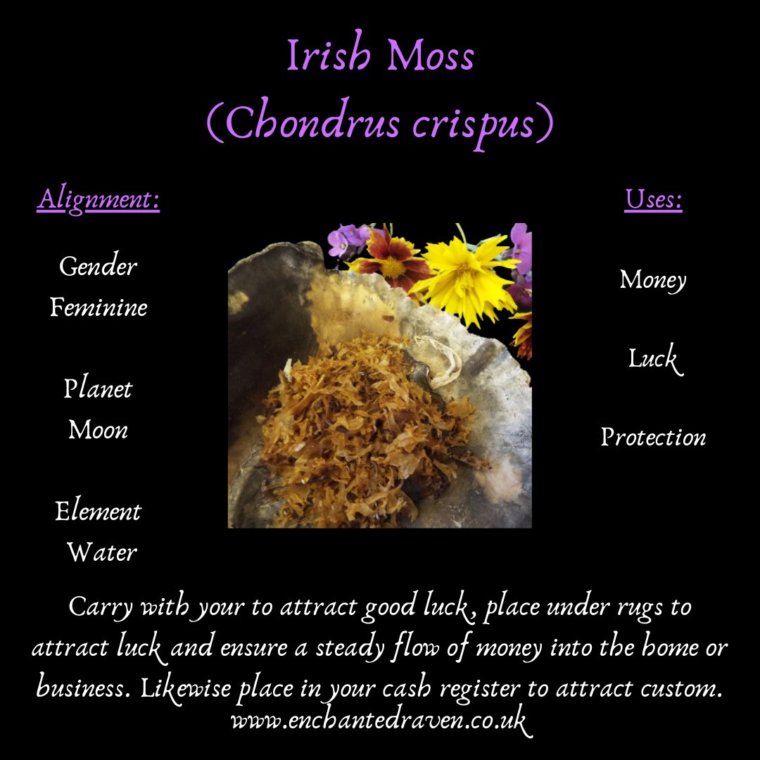Irish Moss - 10g