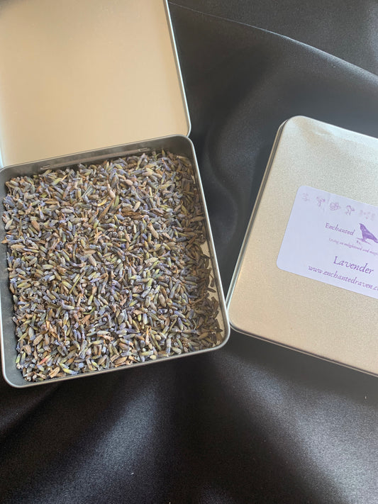 Lavender Flowers