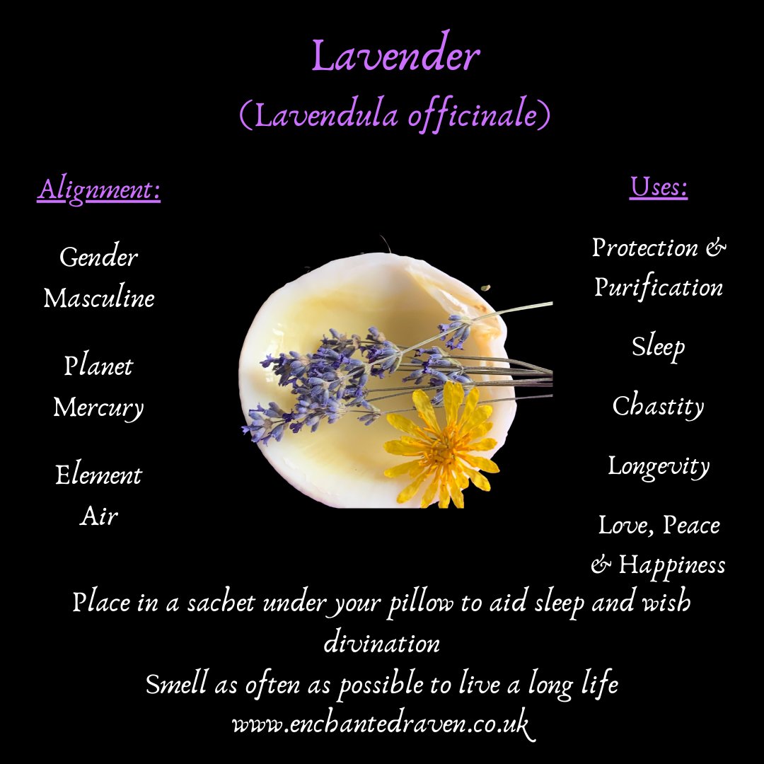 Full Moon Herbs and Candles Bundle