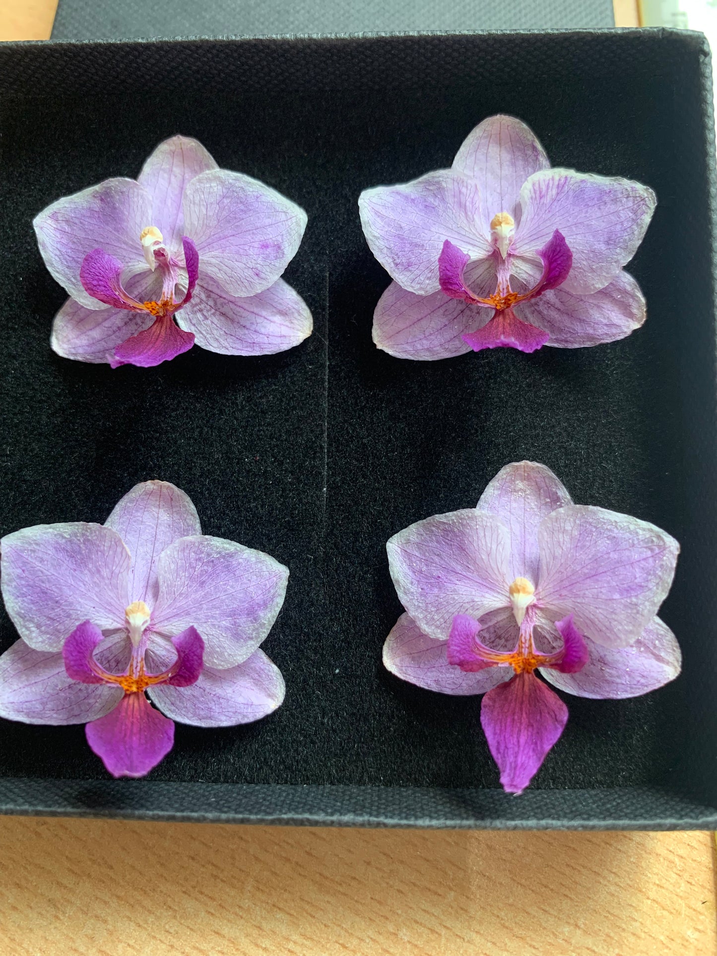 Orchid - 4 Tiny Dried Orchid Flowers