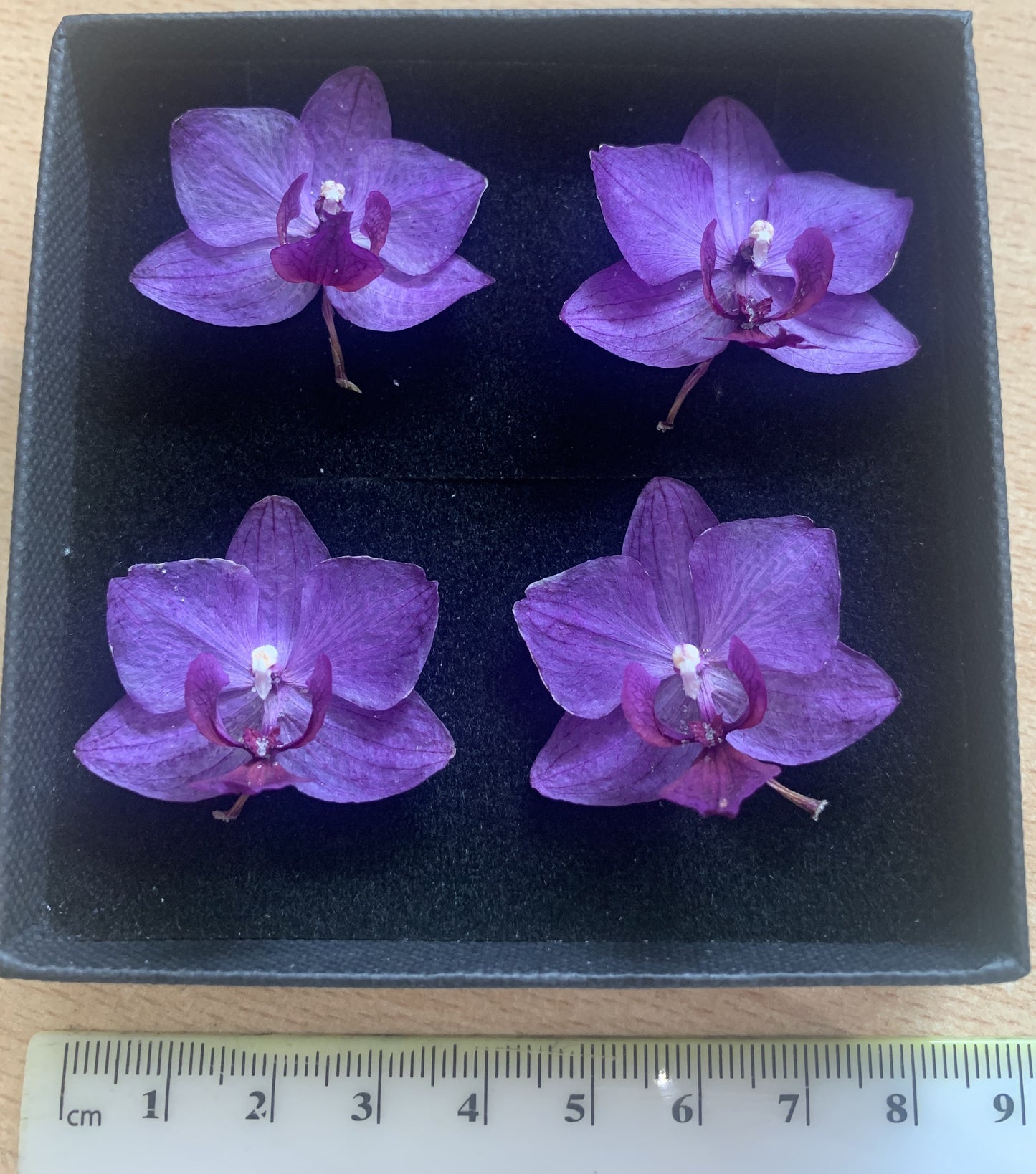 Orchid - 4 Tiny Dried Orchid Flowers