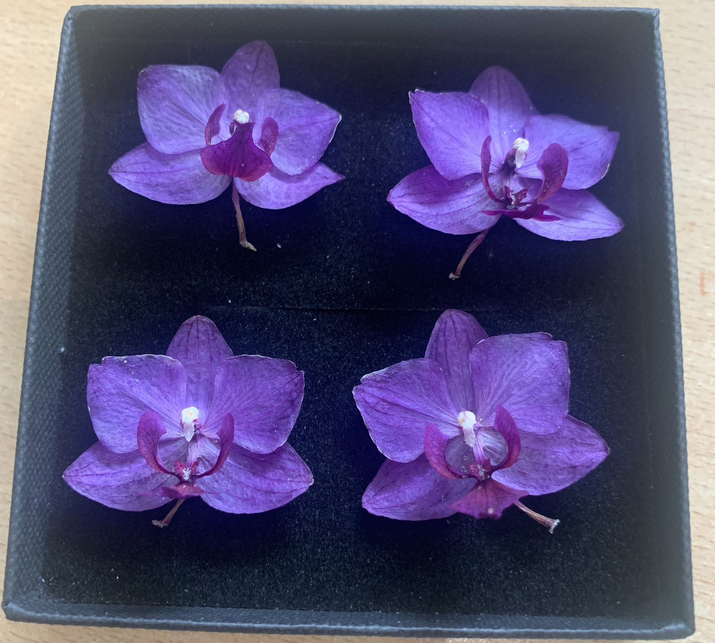 Orchid - 4 Tiny Dried Orchid Flowers