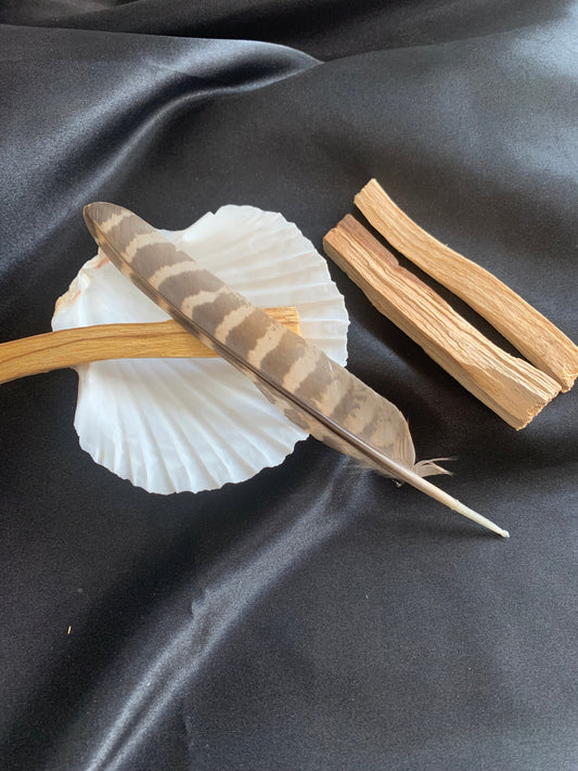 Palo Santo Smudging Gift Box