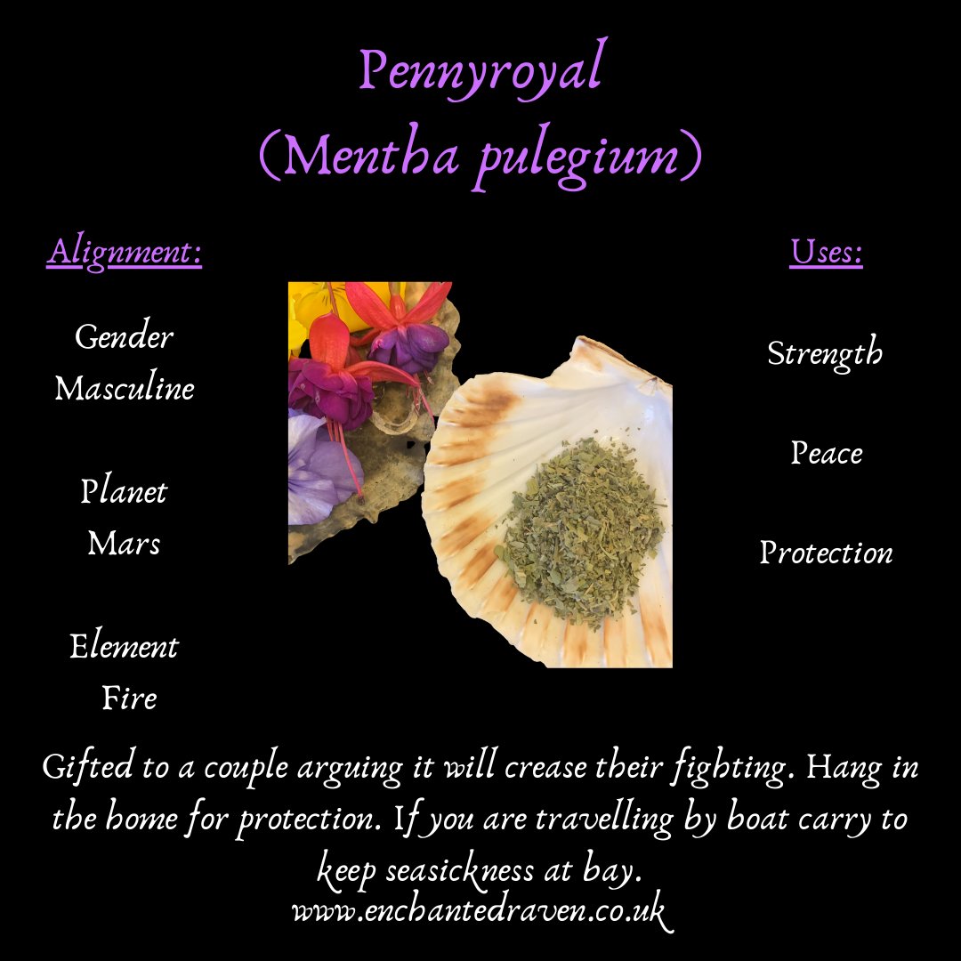 Pennyroyal