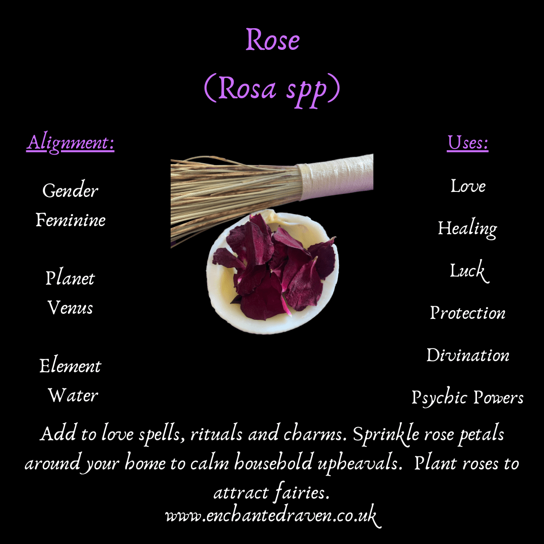 Rose Petals - Red