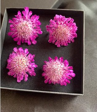 Scabious - 4 Real Dried Flowers, Natural Undyed Flowers