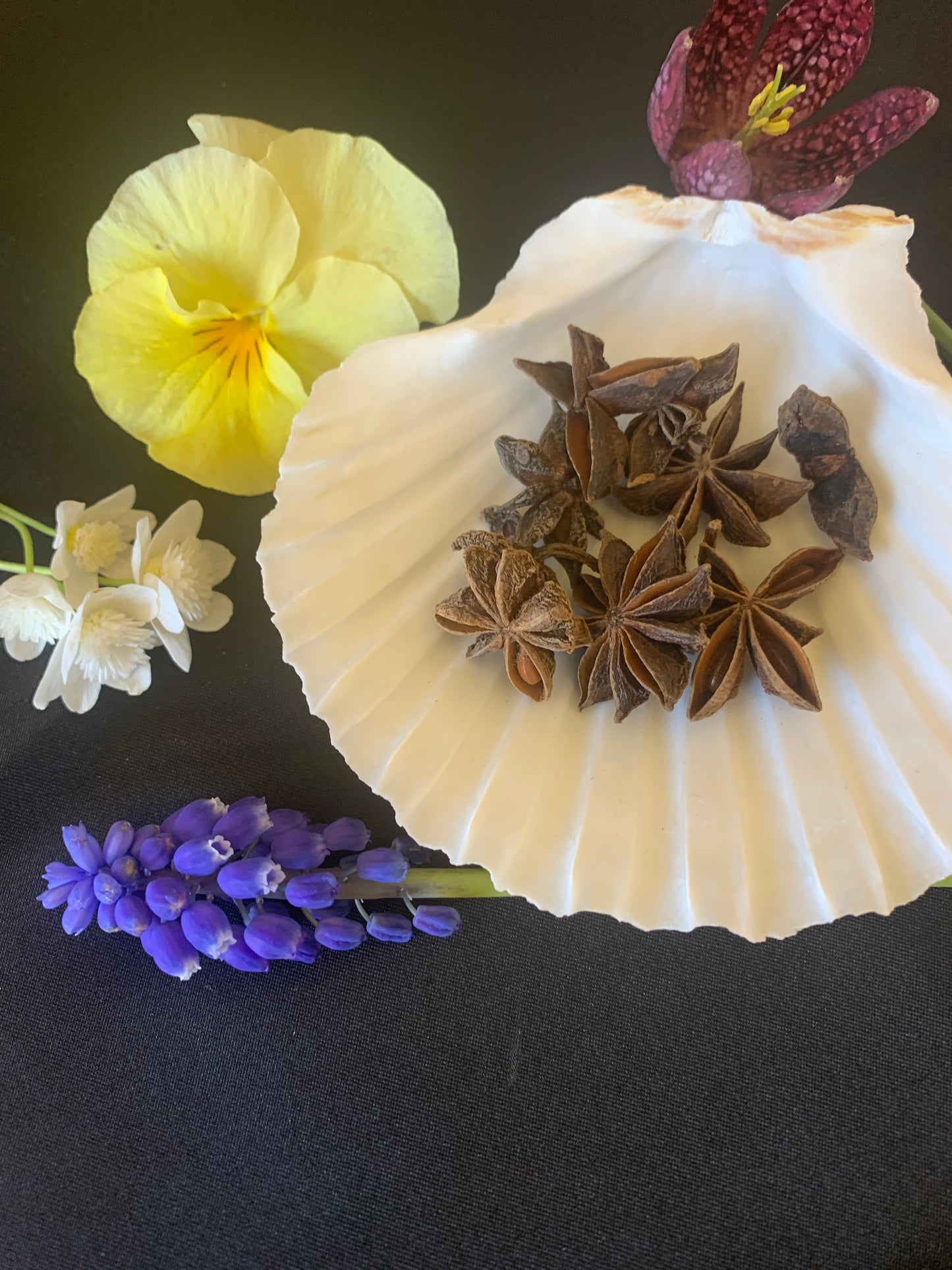 Star Anise