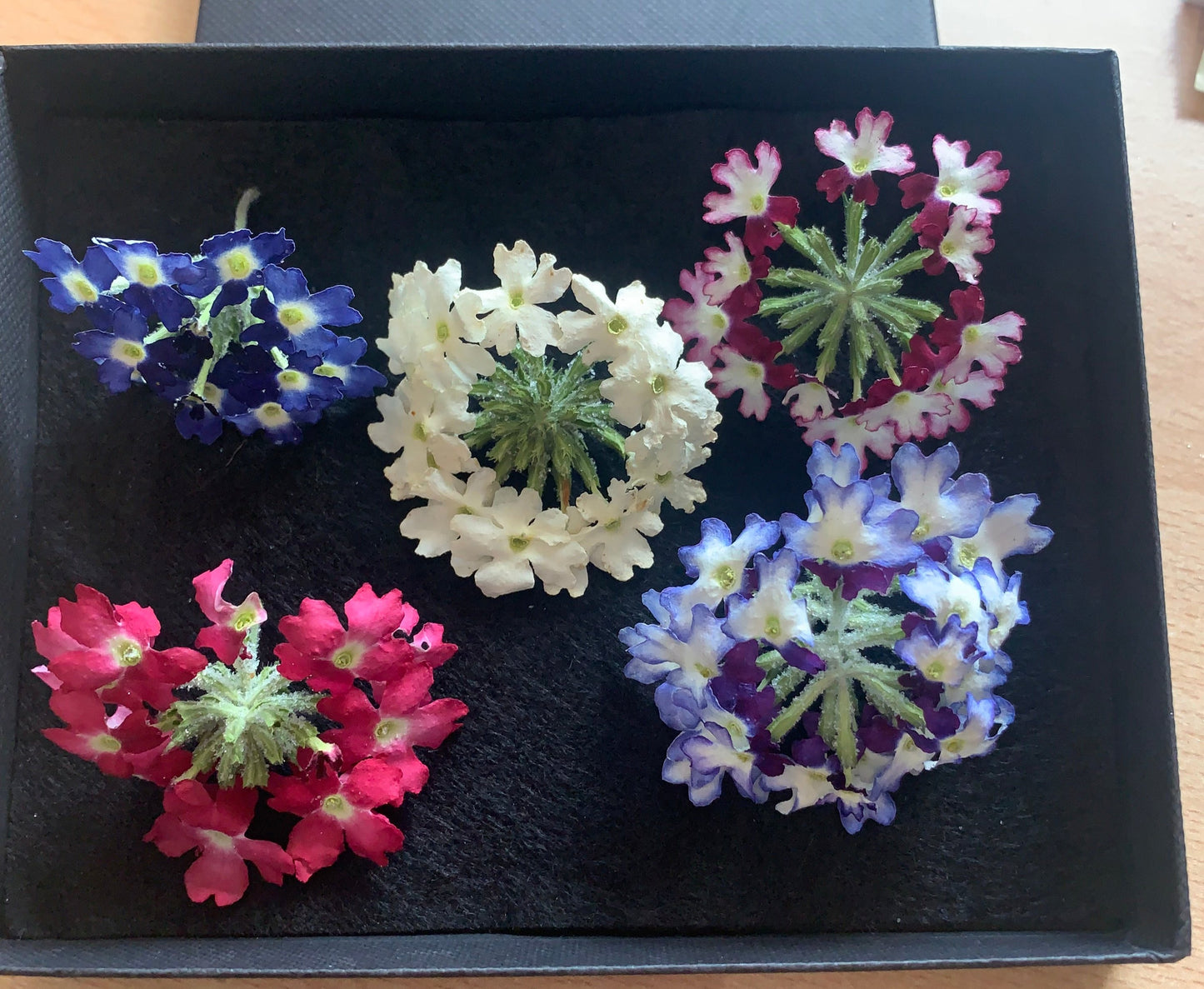 Box of dried Verbena flower heads