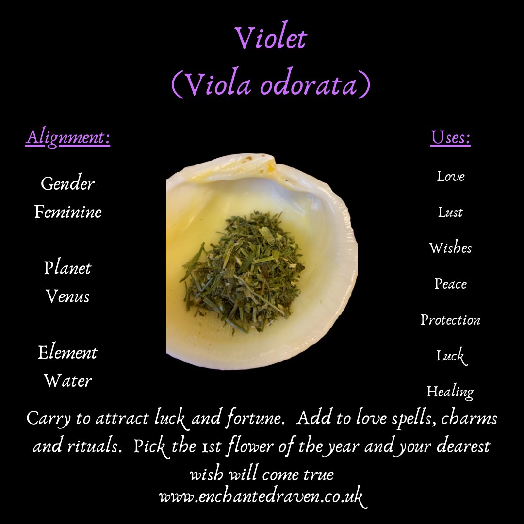 Violet Leaves