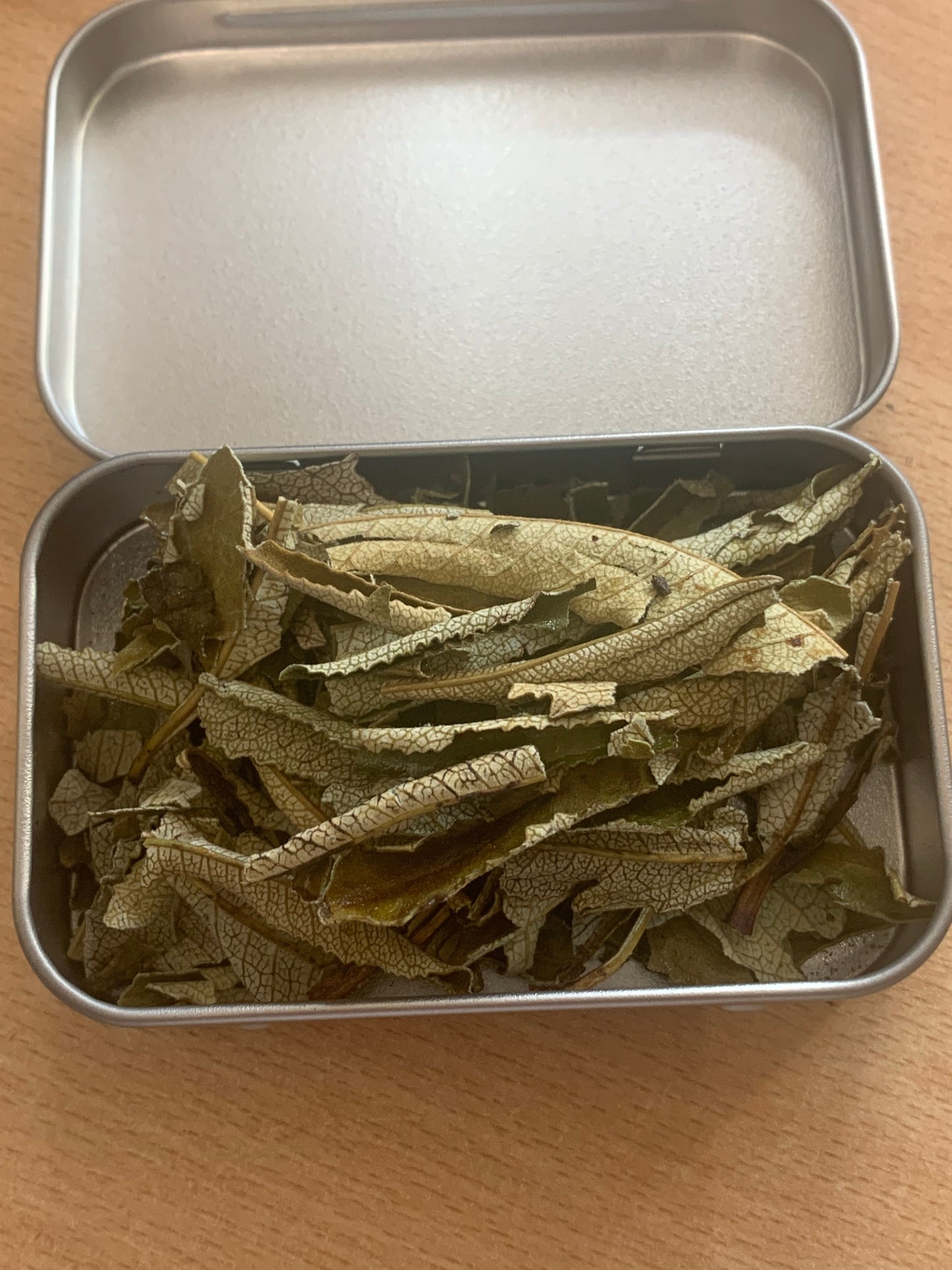 Small metal tin with dried Yerba Santa in it