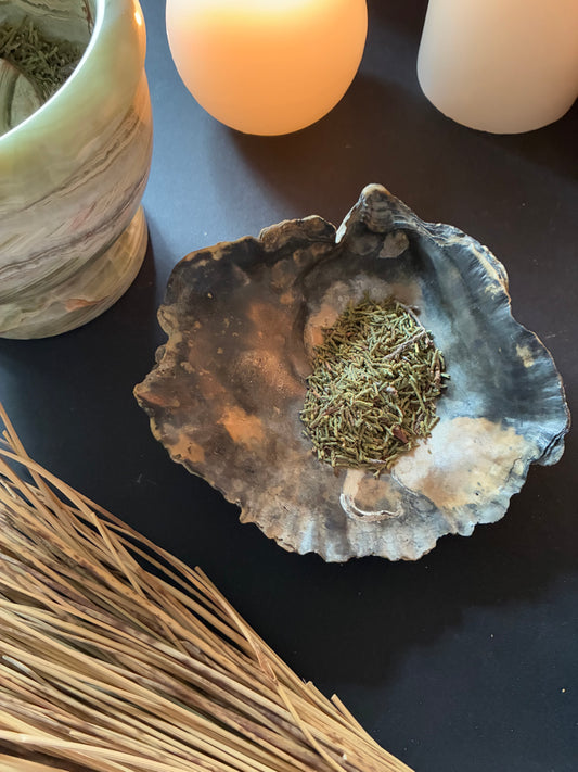 Cedar herb for cleansing