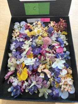 Tiny dried flowers - Real Dried Flowers