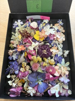 Tiny dried flowers - Real Dried Flowers