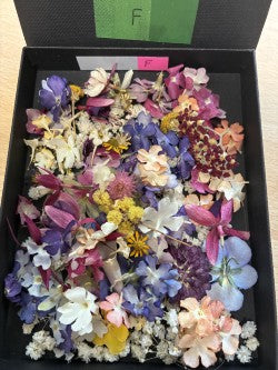 Tiny dried flowers - Real Dried Flowers
