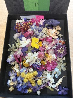 Tiny dried flowers - Real Dried Flowers